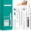 DSECHCRSL Dog Teeth Cleaner – Plaque Remover with LED Light, 3 Modes, 2 Heads, Pet Safe (White)