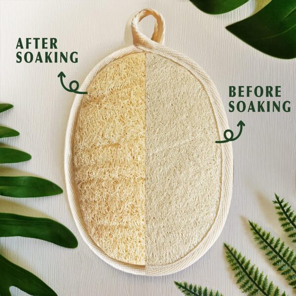 Natural Loofah Sponge Exfoliating Body Scrubber – Eco-Friendly & Biodegradable - Image 15