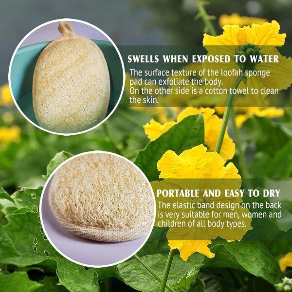 Natural Loofah Sponge Exfoliating Body Scrubber – Eco-Friendly & Biodegradable - Image 24