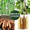 Natural Loofah Sponge Exfoliating Body Scrubber – Eco-Friendly & Biodegradable - Image 4