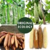 Natural Loofah Sponge Exfoliating Body Scrubber – Eco-Friendly & Biodegradable - Image 18