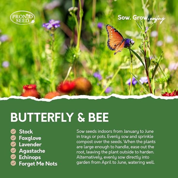 Pronto Seed Bumper Pack Grow Your Own Kit - 24 Varieties of Flowers - Over 3100 Seeds to Attract Butterflies & Bees - Gardening Gift for Women and Men (Flower Pack) - Image 3